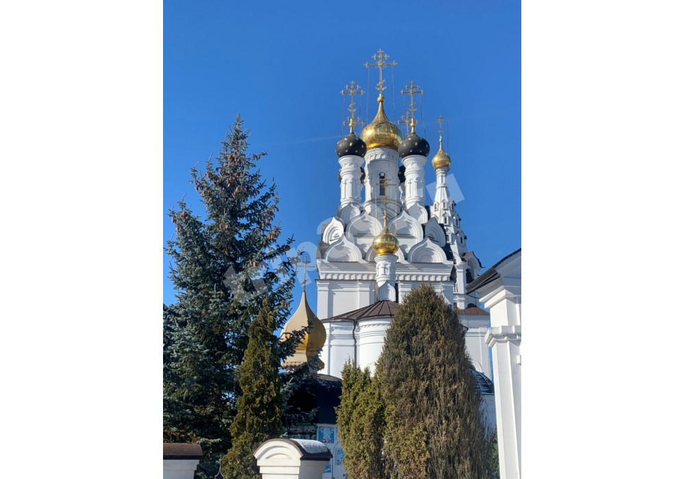Индивидуальная экскурсия по Калининградской области «Готические храмы позднего Средневековья»